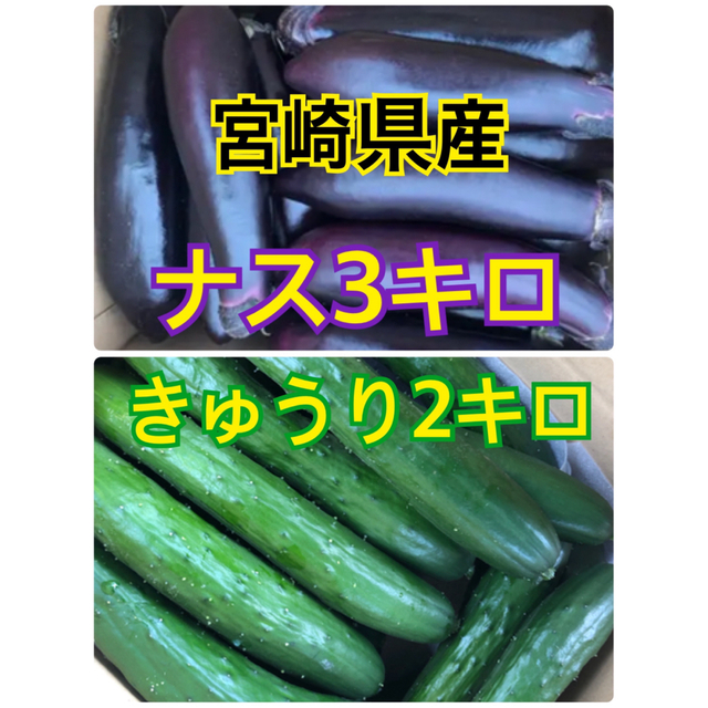 野菜　ナス　きゅうり　宮崎県産 食品/飲料/酒の食品(野菜)の商品写真