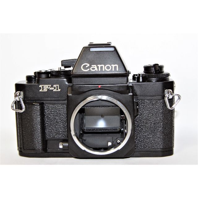 Canon NEW F-1 AEファインダー キャノン - www.sorbillomenu.com