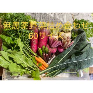 無農薬野菜詰め合わせ　60サイズ(野菜)