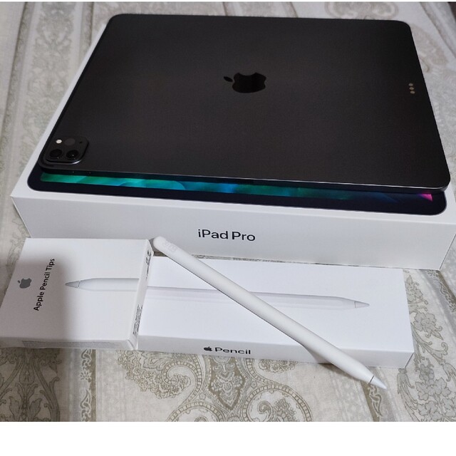 IPad Mini 256GB スペースグレイ Wi-Fi アップルペンシル2 タブレット