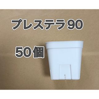 【確認用】プレステラ90、他　白 50個 スリット鉢 プラ鉢 ラクマパック(プランター)