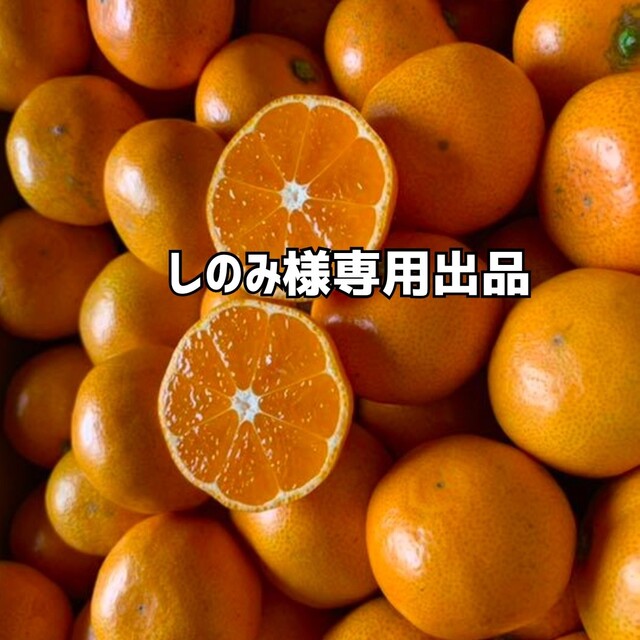 tangerine⭐︎様専用 - 美術館