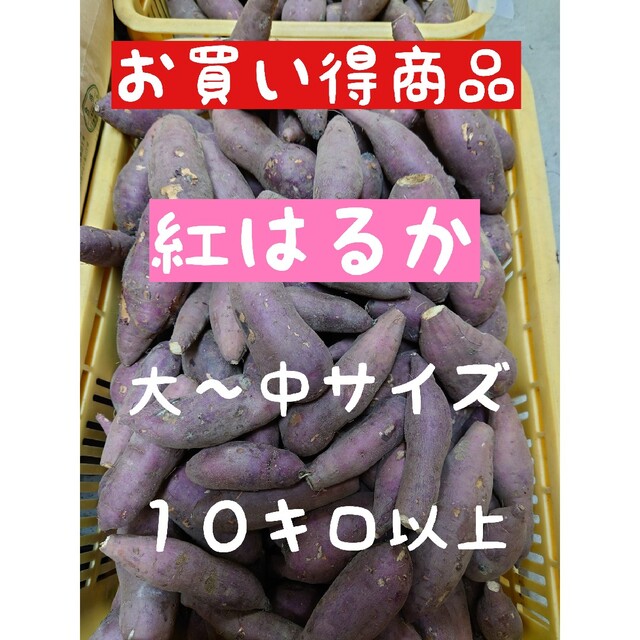 さつまいも【紅はるか、大〜中サイズ、１０キロ以上】【サツマイモ】【野菜】 食品/飲料/酒の食品(野菜)の商品写真