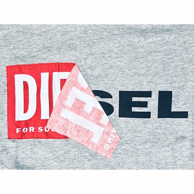 DIESEL(ディーゼル)のDIESEL  新品未使用　XLサイズ　ビッグサイズ　パーカー　ディーゼル メンズのトップス(パーカー)の商品写真