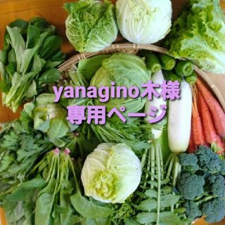 yanagino木様専用ページです(野菜)