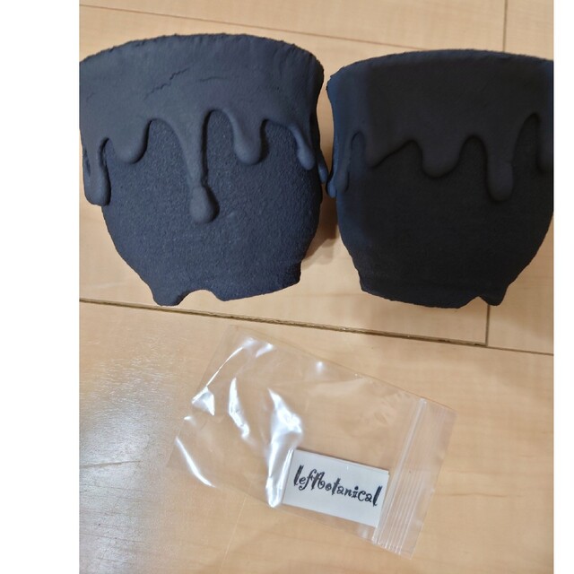 黒垂れ SSサイズ left botanical 2個セット 陶器鉢 フラワー/ガーデン