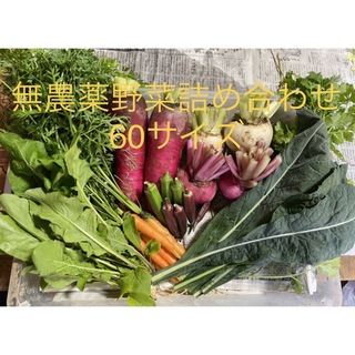 無農薬野菜詰め合わせ　60サイズ(野菜)