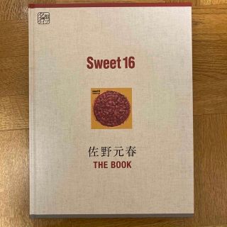 ソニー(SONY)の佐野元春 SWEET 16 名鑑ライブ THE BOOK／DVD 非売品(ミュージック)