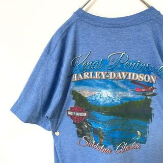 ハーレーダビッドソン(Harley Davidson)の大人気⭐️ハーレーダビッドソン⭐️tシャツ 半袖　プリント　ブラックバス　 古着(Tシャツ/カットソー(半袖/袖なし))