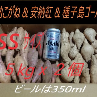 5キロが2箱 安納芋 2品種 & 種子島ゴールド(紫芋) SSサイズ 10kg(野菜)