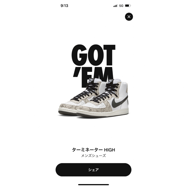 NIKE ターミネーター HI ココアスネーク 蛇 27靴/シューズ