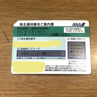 エーエヌエー(ゼンニッポンクウユ)(ANA(全日本空輸))のANA株主優待券1枚(その他)