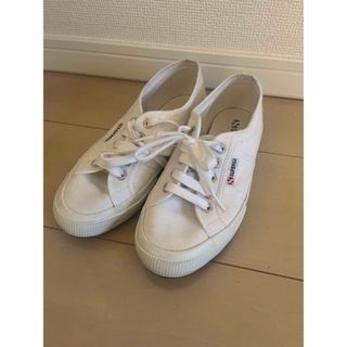 スペルガ(SUPERGA)のSUPERGA スペルガ　コットンキャンバススニーカー(スニーカー)