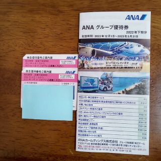 エーエヌエー(ゼンニッポンクウユ)(ANA(全日本空輸))のANA 全日空 株主優待券 2枚組 冊子付き(その他)