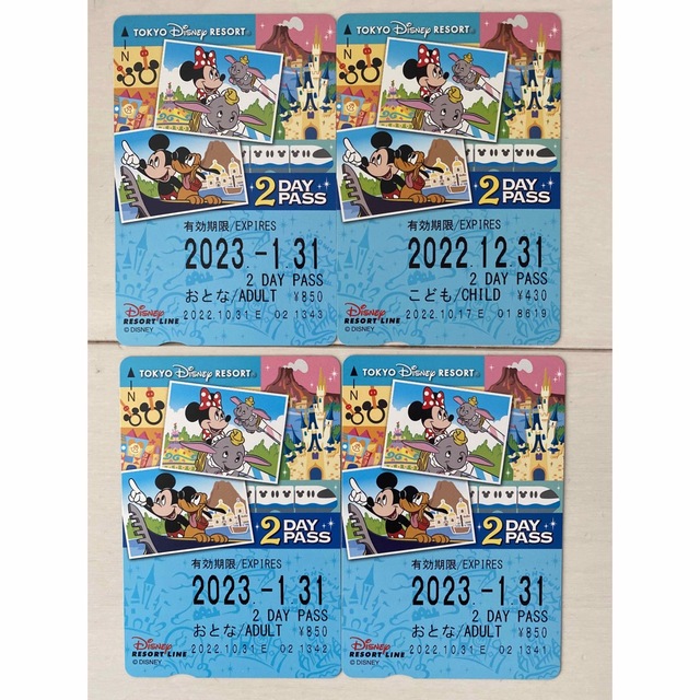 Disney(ディズニー)のディズニーリゾートラインフリー乗車券2DAYS♡ チケットの施設利用券(遊園地/テーマパーク)の商品写真