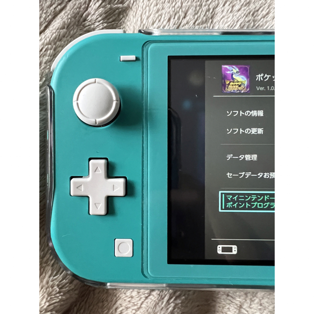 Nintendo Switch(ニンテンドースイッチ)のNintendo Switch lite ポケモンsv ver1.0.1 エンタメ/ホビーのゲームソフト/ゲーム機本体(家庭用ゲームソフト)の商品写真