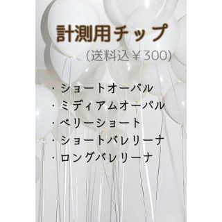 計測用ネイルチップ サイズ確認用(ネイルチップ)