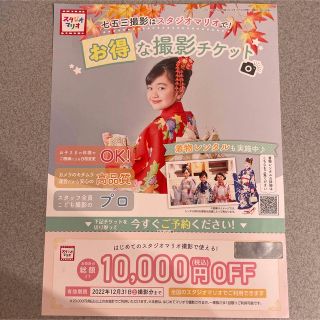 スタジオマリオ　割引券(その他)