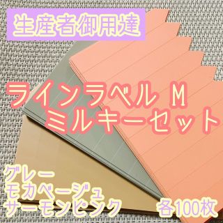 ラインラベル 中 肌・灰・茶 各100枚 カラーラベル 多肉植物 エケベリア(プランター)