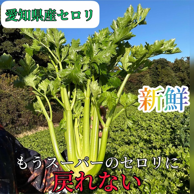 りんこ様 食品/飲料/酒の食品(野菜)の商品写真