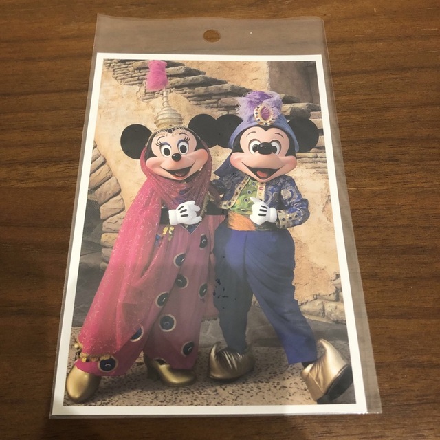 Disney(ディズニー)の【未使用】ディズニー アラビアンコースト 実写 ポストカード エンタメ/ホビーの声優グッズ(写真/ポストカード)の商品写真