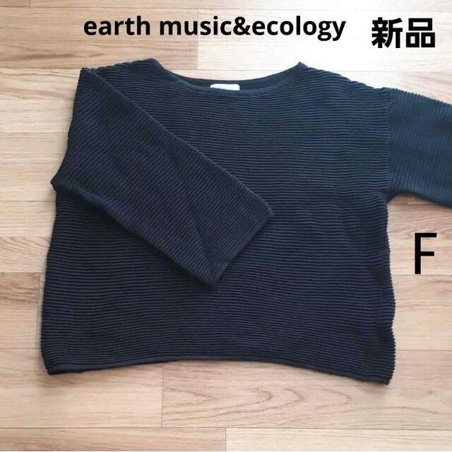 earth music & ecology(アースミュージックアンドエコロジー)のアースミュージック&エコロジー　総ピンタックニットプルオーバー レディースのトップス(ニット/セーター)の商品写真