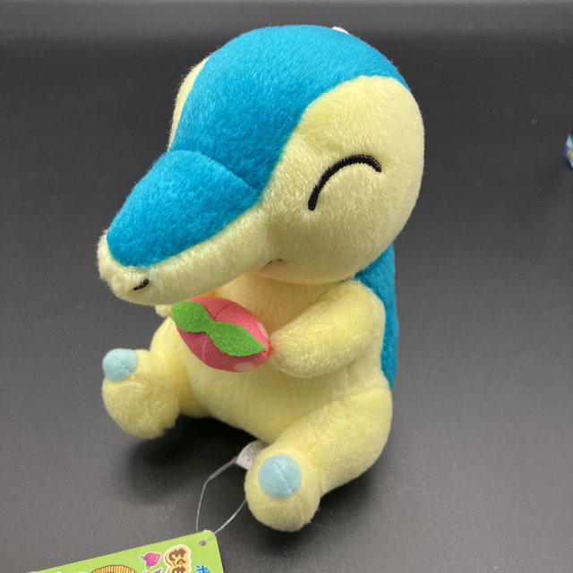 ポケモン ぬいぐるみ ヒノアラシ POCKET MONSTERS 潔く ポケモン ぬいぐるみ ヒノアラシ POCKET MONSTERS 潔く