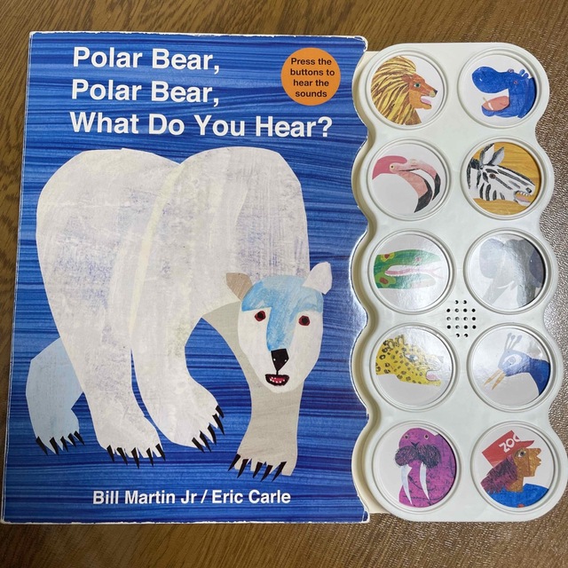 訳あり　POLAR BEAR, POLAR BEAR エンタメ/ホビーの本(洋書)の商品写真