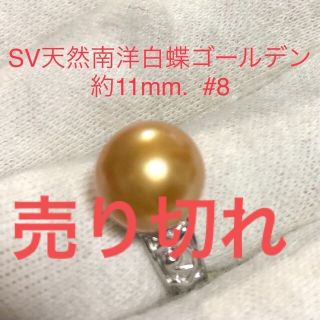 SV天然南洋白蝶ゴールデン真珠リング　約11mm. #8(リング(指輪))