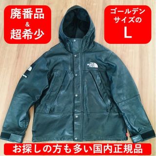 シュプリーム(Supreme)のSUPREME×THE NORTH FACE 18AW レザーマウンテンパーカー(マウンテンパーカー)