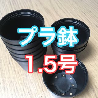 プラ鉢 1.5号 黒10個 新品未使用 (プランター)