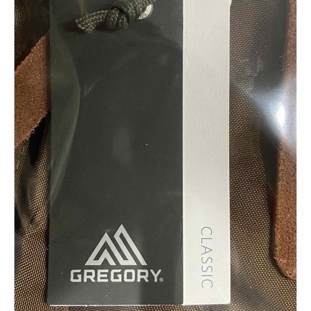 Gregory(グレゴリー)の【タグ付き 新品 完売 別注】ビームス別注 グレゴリー デイパック リュック メンズのバッグ(バッグパック/リュック)の商品写真