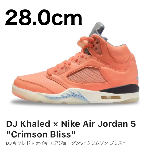 Jordan Brand（NIKE）(ジョーダン)のjordan5 メンズの靴/シューズ(スニーカー)の商品写真