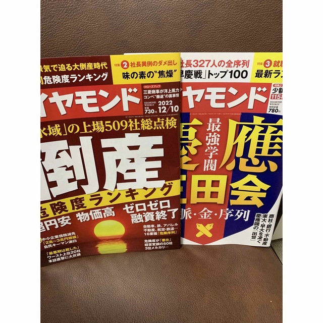 ダイヤモンド社(ダイヤモンドシャ)の週刊ダイヤモンド エンタメ/ホビーの雑誌(ビジネス/経済/投資)の商品写真