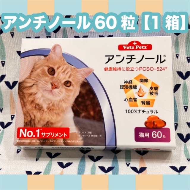 アンチノール　猫用　60粒　1箱