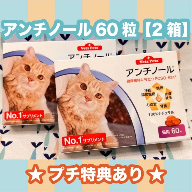 アンチノール　猫用　60粒　2箱〈おまけ付き〉