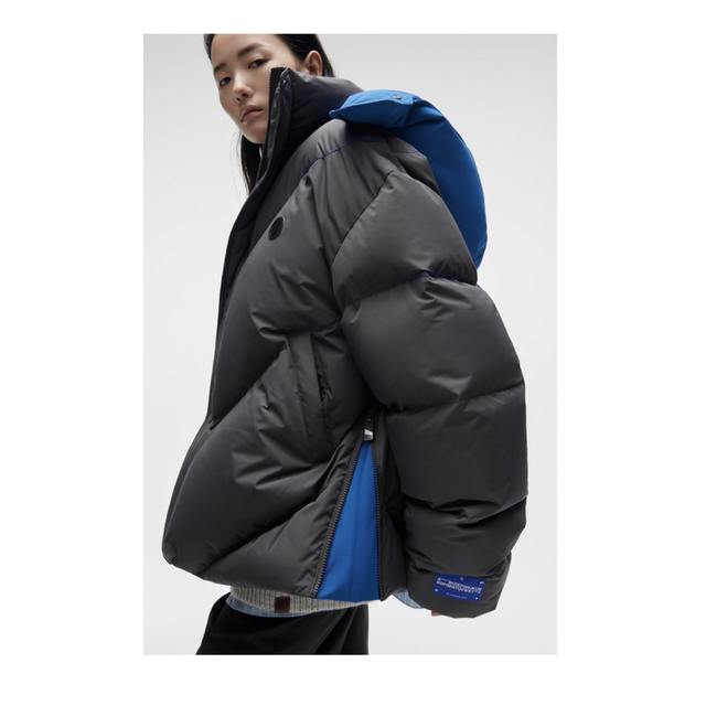 公式サイト ZARA ADER Adererror ダウンジャケット - www.gorgas.gob.pa