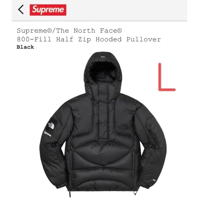 Supreme(シュプリーム)のSupreme The North Face 800-Fill メンズのジャケット/アウター(ダウンジャケット)の商品写真