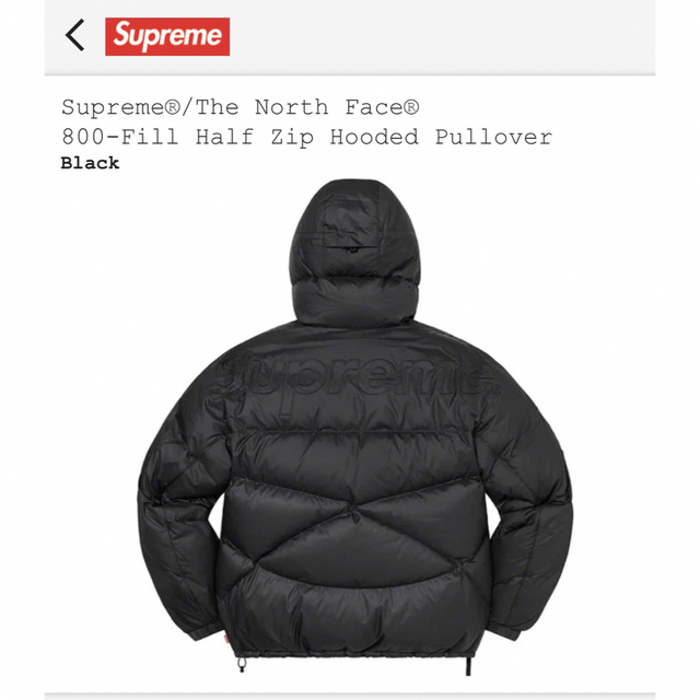 Supreme(シュプリーム)のSupreme The North Face 800-Fill メンズのジャケット/アウター(ダウンジャケット)の商品写真