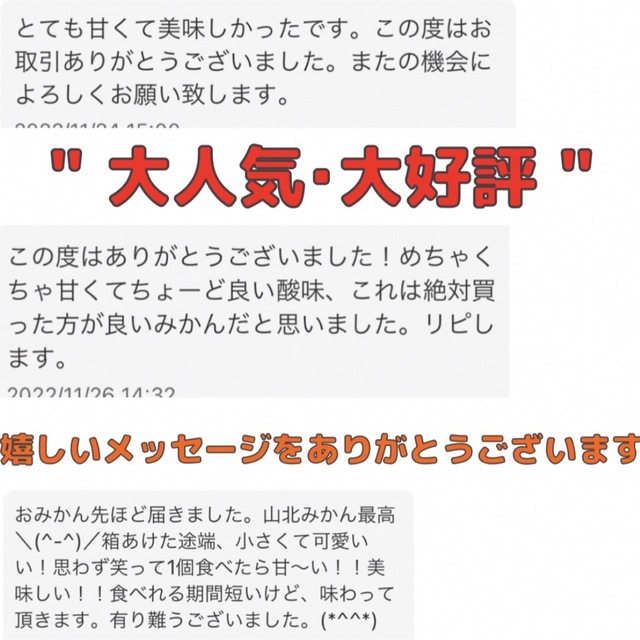 01 お得な2箱10キロ 山北みかんちゃん M.L.LLサイズ 家庭用 食品/飲料/酒の食品(フルーツ)の商品写真