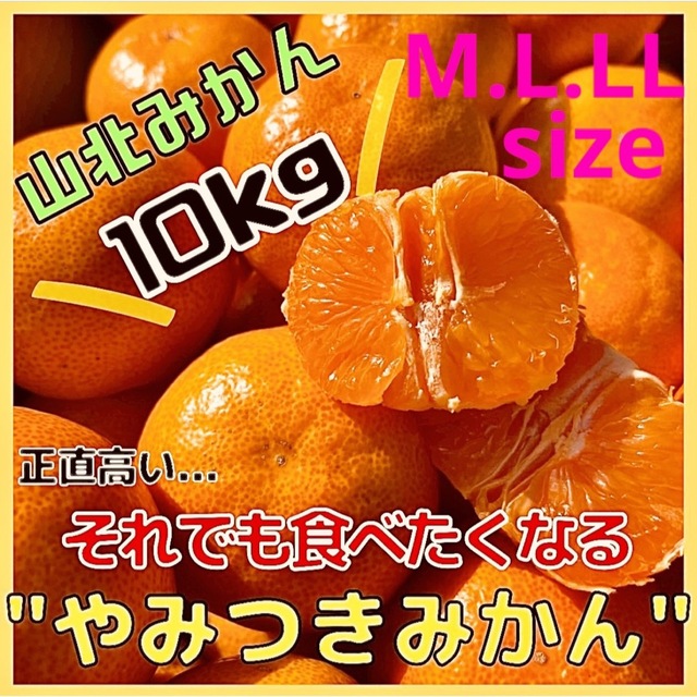 01 お得な2箱10キロ 山北みかんちゃん M.L.LLサイズ 家庭用 食品/飲料/酒の食品(フルーツ)の商品写真