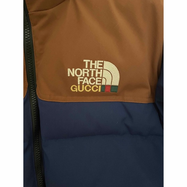 Gucci(グッチ)の THE NORTH FACE x GUCCI ダウンジャケット メンズのジャケット/アウター(ダウンジャケット)の商品写真