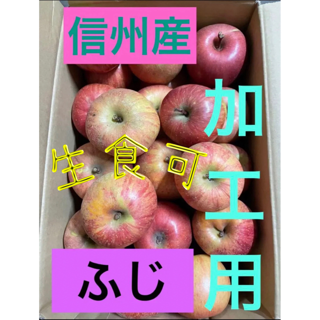 長野県北部 農家直送 加工用 ふじ 箱込み ２４kg