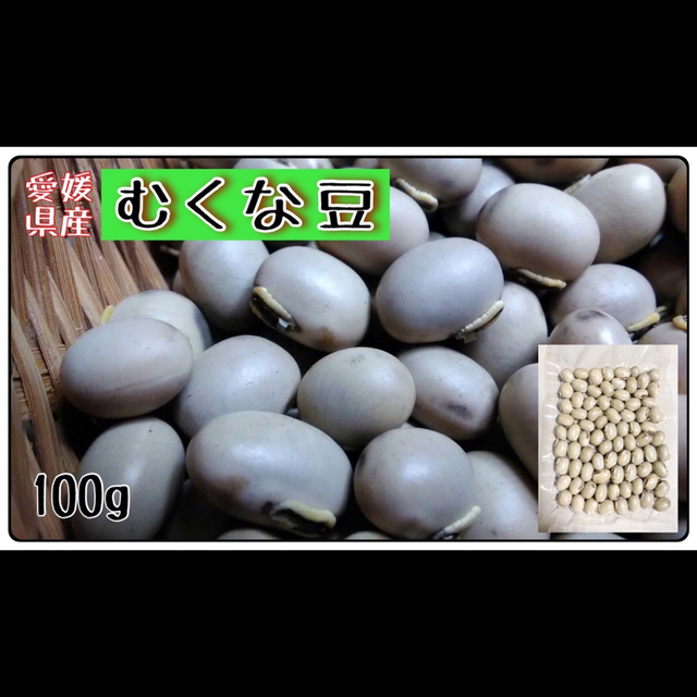 ☆全国共通価格☆】むくなまめ八升豆ムクナマメ野菜やさい豆類≪《豆の