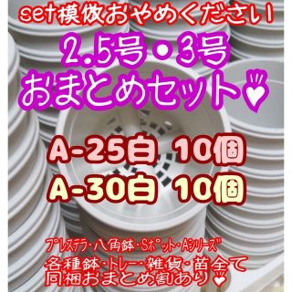 プラ鉢20個おまとめセット♪【A-25・A-30 各10個】プレステラ多肉(プランター)