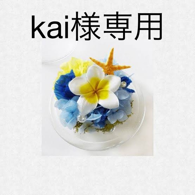 限定価格セール Kai様専用 educationjournal.org