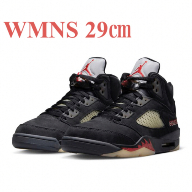 WMNS Air Jordan 5 Retro GORE-TEXメンズ