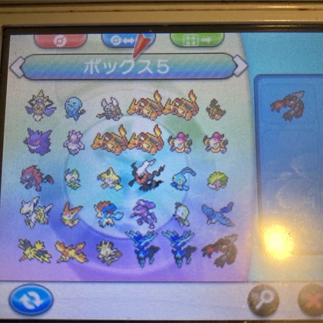 ポケットモンスター　Y 3