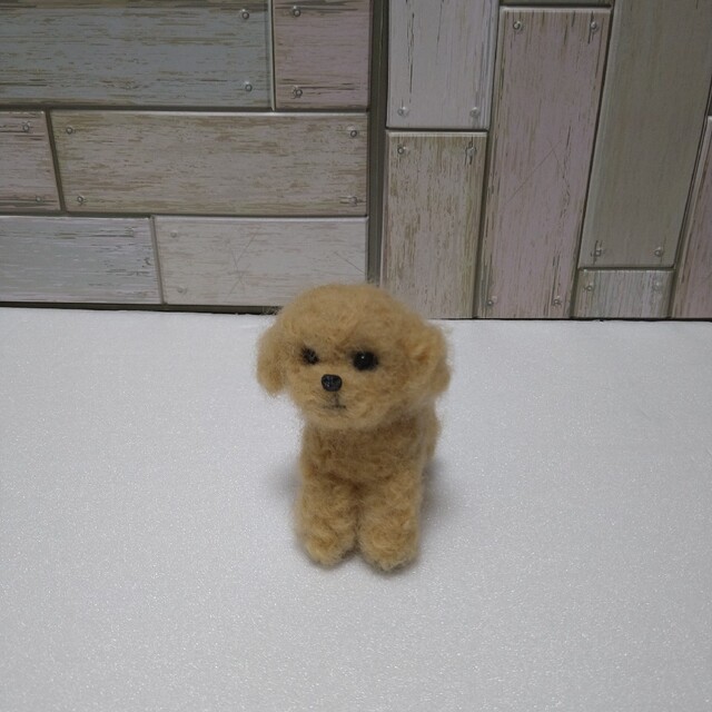 赤ちゃんトイプードル 羊毛フェルトの通販 by 羊毛フェルト さくら's