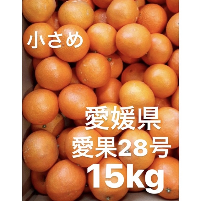 愛媛県産　愛果28号　柑橘　15kg食品